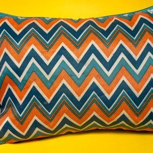 Ipsy Pattern Makeup bAG